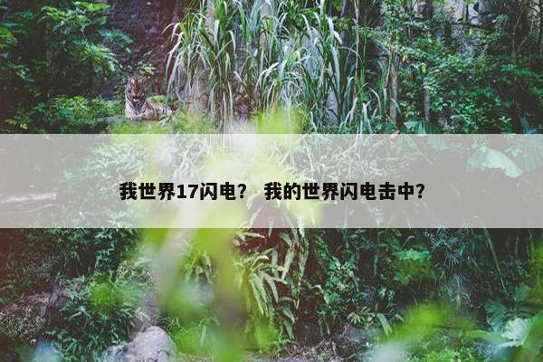 我世界17闪电？ 我的世界闪电击中？