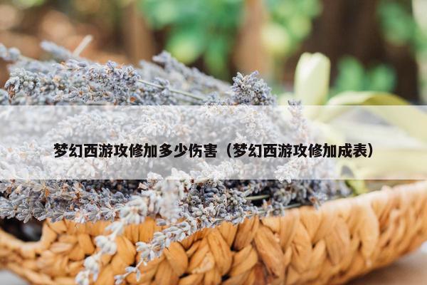 梦幻西游攻修加多少伤害（梦幻西游攻修加成表）