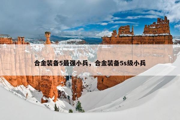 合金装备5最强小兵，合金装备5s级小兵