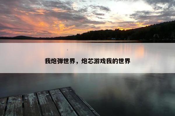 我炮弹世界，炮芯游戏我的世界