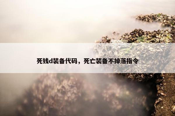 死钱d装备代码，死亡装备不掉落指令