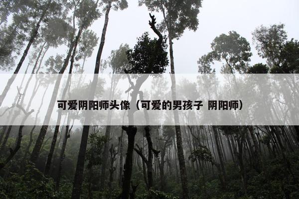 可爱阴阳师头像（可爱的男孩子 阴阳师）