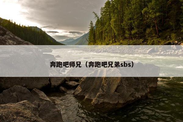 奔跑吧师兄（奔跑吧兄弟sbs）