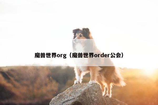 魔兽世界org（魔兽世界order公会）