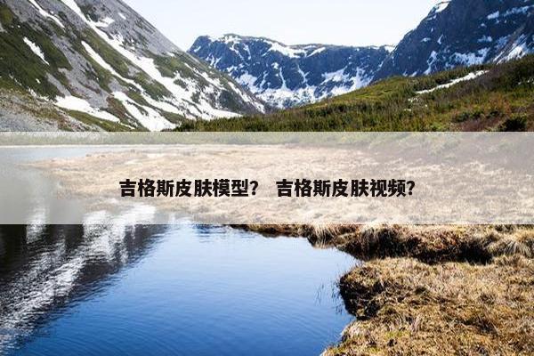 吉格斯皮肤模型？ 吉格斯皮肤视频？