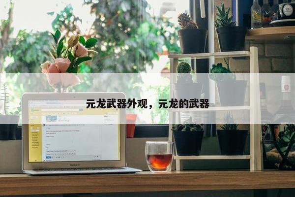 元龙武器外观，元龙的武器