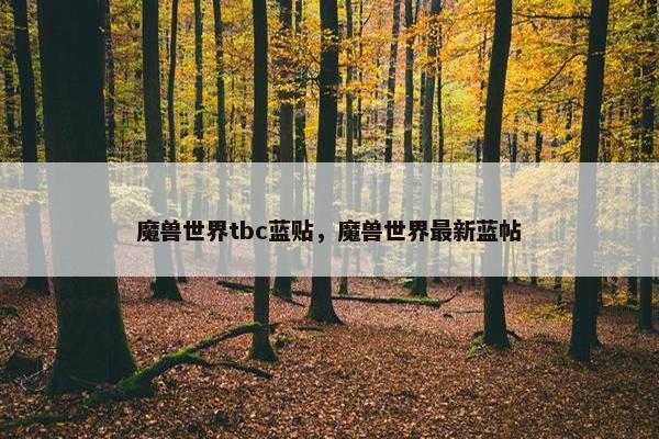魔兽世界tbc蓝贴，魔兽世界最新蓝帖