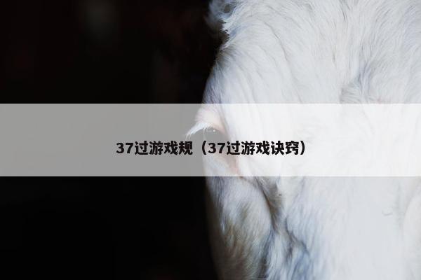 37过游戏规（37过游戏诀窍）