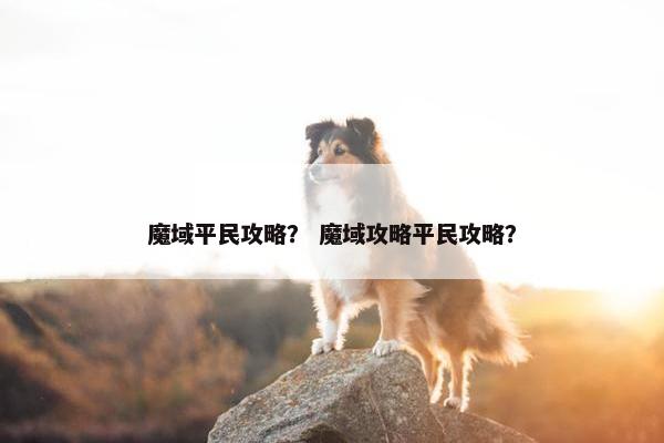 魔域平民攻略？ 魔域攻略平民攻略？