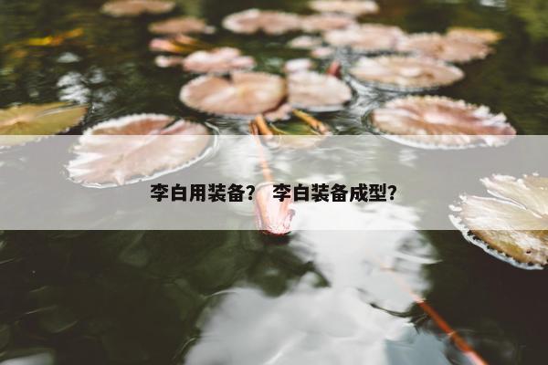 李白用装备？ 李白装备成型？