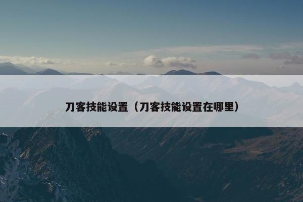 刀客技能设置（刀客技能设置在哪里）
