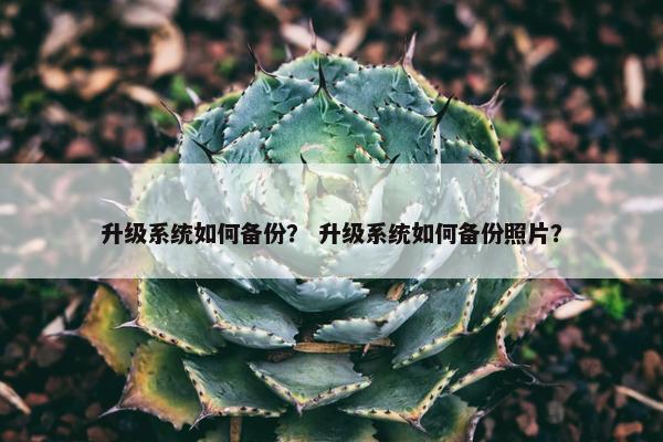 升级系统如何备份？ 升级系统如何备份照片？