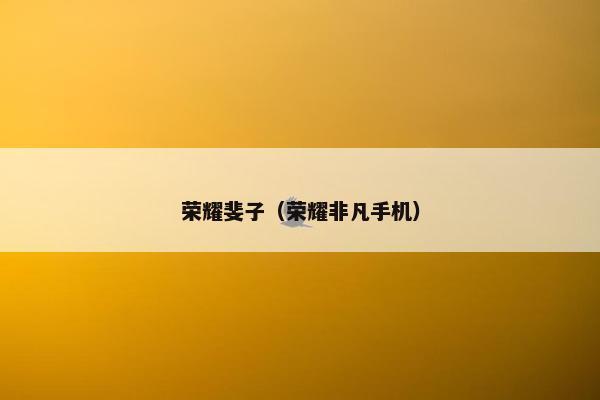 荣耀斐子（荣耀非凡手机）