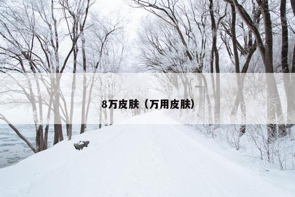 8万皮肤（万用皮肤）