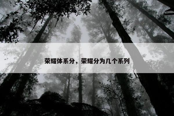 荣耀体系分，荣耀分为几个系列