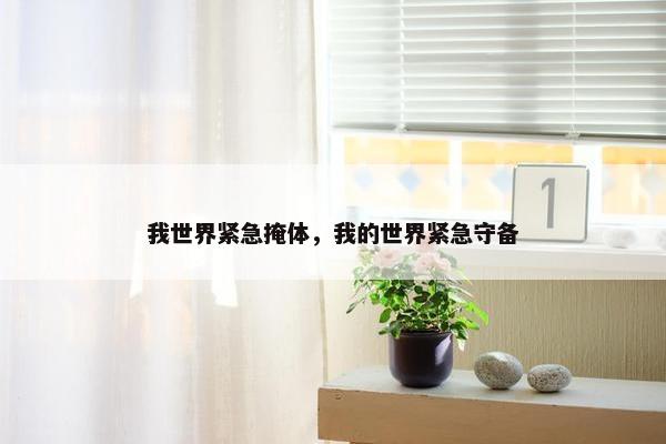 我世界紧急掩体，我的世界紧急守备
