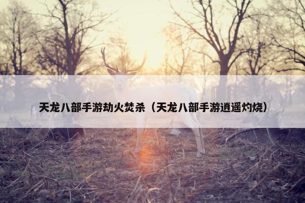 天龙八部手游劫火焚杀（天龙八部手游逍遥灼烧）