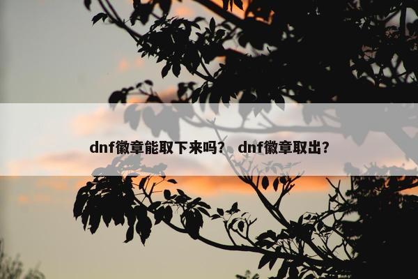 dnf徽章能取下来吗？ dnf徽章取出？
