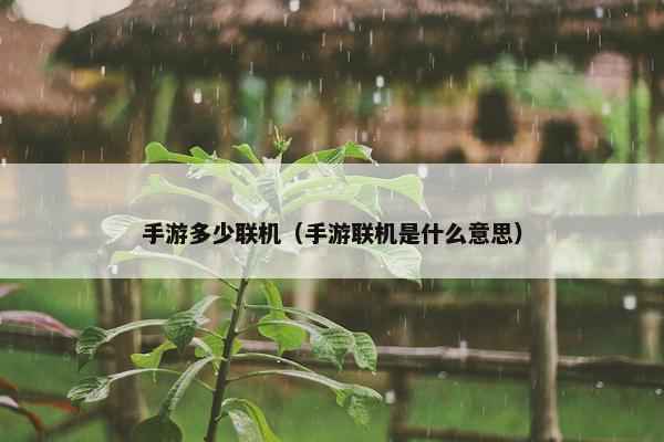 手游多少联机（手游联机是什么意思）