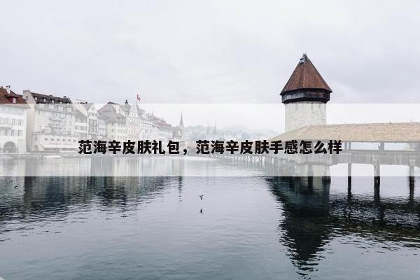 范海辛皮肤礼包，范海辛皮肤手感怎么样
