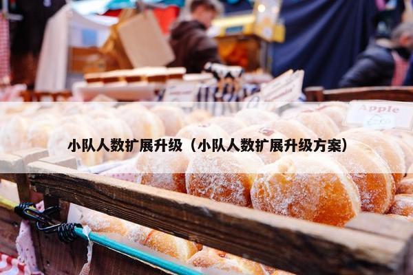 小队人数扩展升级（小队人数扩展升级方案）