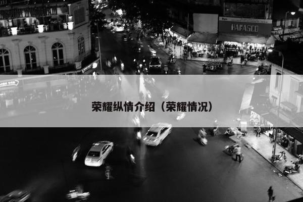 荣耀纵情介绍（荣耀情况）