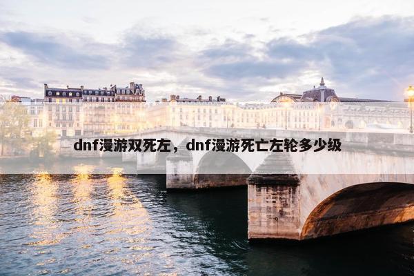 dnf漫游双死左，dnf漫游死亡左轮多少级