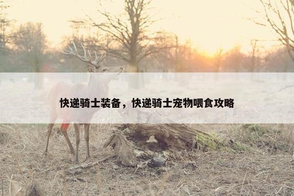 快递骑士装备，快递骑士宠物喂食攻略
