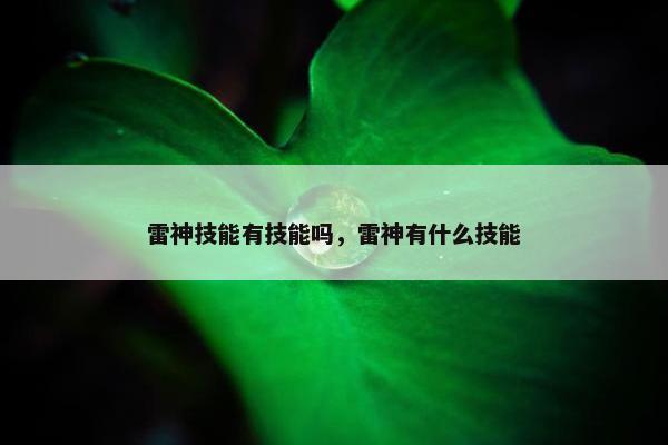 雷神技能有技能吗，雷神有什么技能