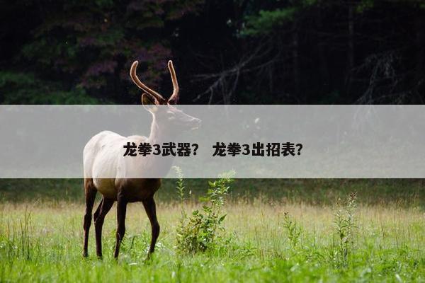 龙拳3武器？ 龙拳3出招表？