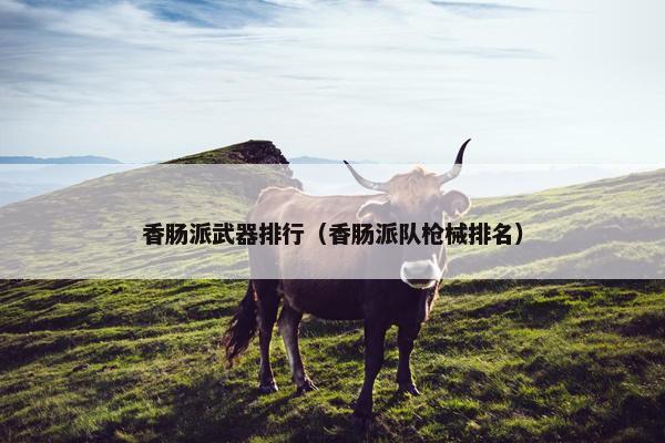 香肠派武器排行（香肠派队枪械排名）