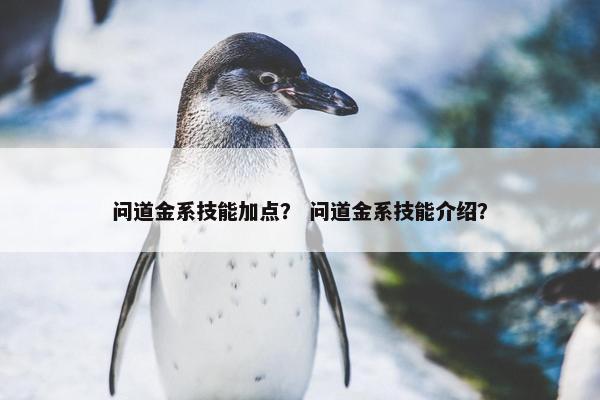 问道金系技能加点？ 问道金系技能介绍？