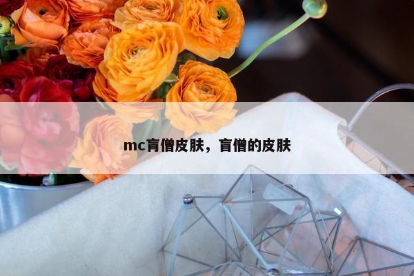 mc肓僧皮肤，盲僧的皮肤