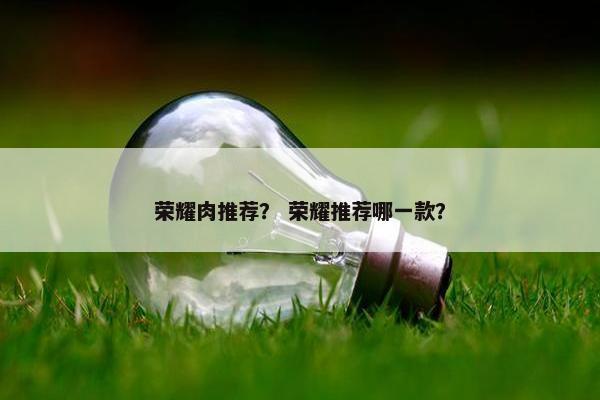 荣耀肉推荐？ 荣耀推荐哪一款？