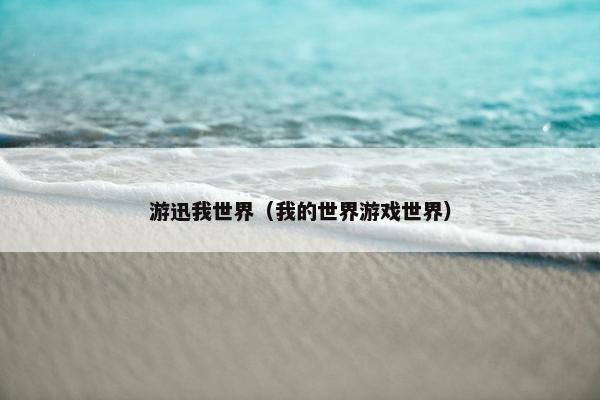 游迅我世界（我的世界游戏世界）