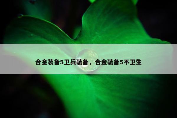 合金装备5卫兵装备，合金装备5不卫生