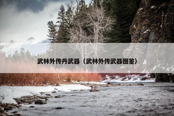 武林外传丹武器（武林外传武器图鉴）