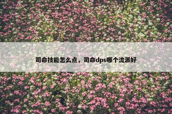 司命技能怎么点，司命dps哪个流派好