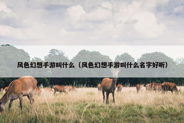 风色幻想手游叫什么（风色幻想手游叫什么名字好听）