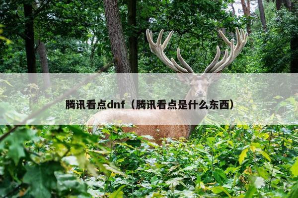 腾讯看点dnf（腾讯看点是什么东西）