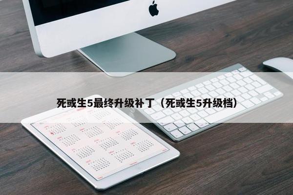死或生5最终升级补丁（死或生5升级档）