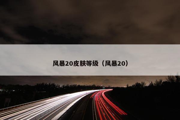 风暴20皮肤等级（风暴20）