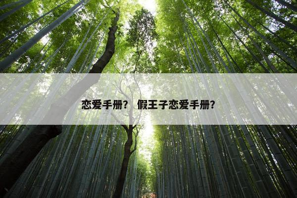 恋爱手册？ 假王子恋爱手册？