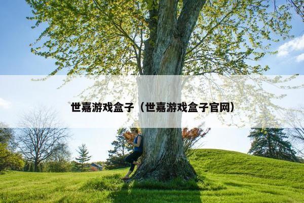 世嘉游戏盒子（世嘉游戏盒子官网）