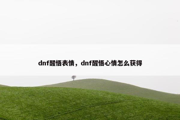 dnf醒悟表情，dnf醒悟心情怎么获得