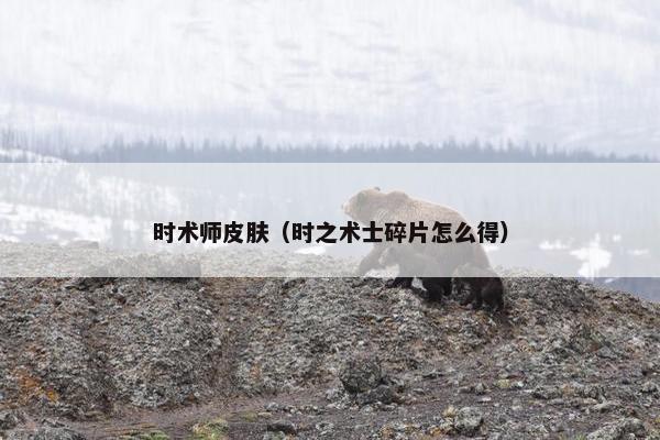 时术师皮肤（时之术士碎片怎么得）