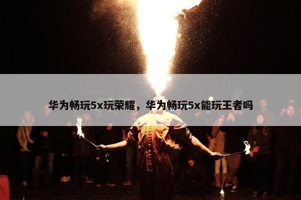华为畅玩5x玩荣耀，华为畅玩5x能玩王者吗