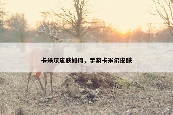 卡米尔皮肤如何，手游卡米尔皮肤