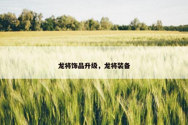 龙将饰品升级，龙将装备