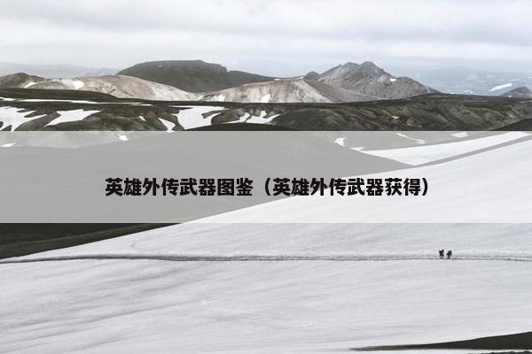 英雄外传武器图鉴（英雄外传武器获得）